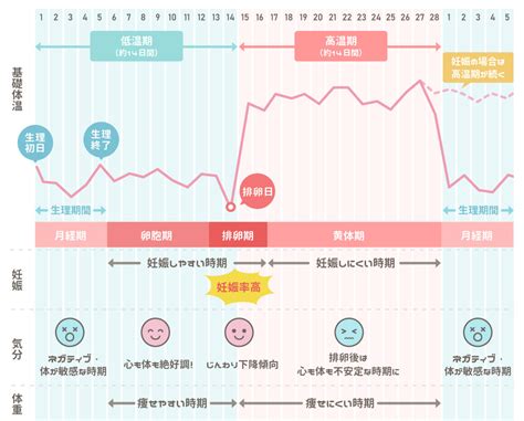 安全日と危険日の計算